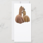 Alpaca Buddies Rack Card (Front)