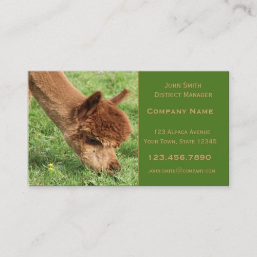 Alpaca Business Card