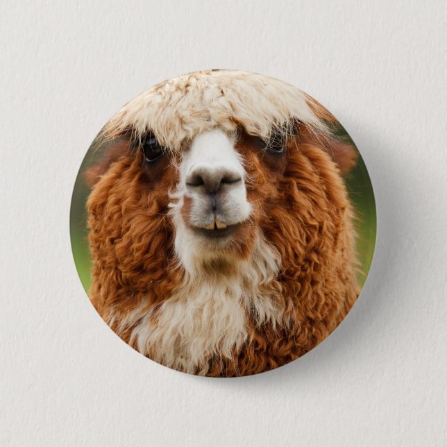 Alpaca Button (Front)