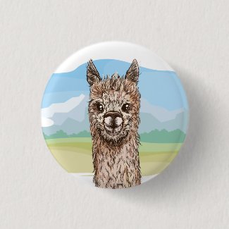 Alpaca  