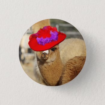 Alpaca Button by WalnutCreekAlpacas at Zazzle