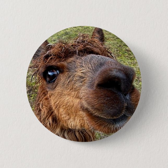 Alpaca Button (Front)