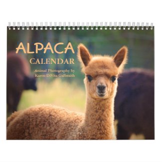 Alpaca Calendar 2020