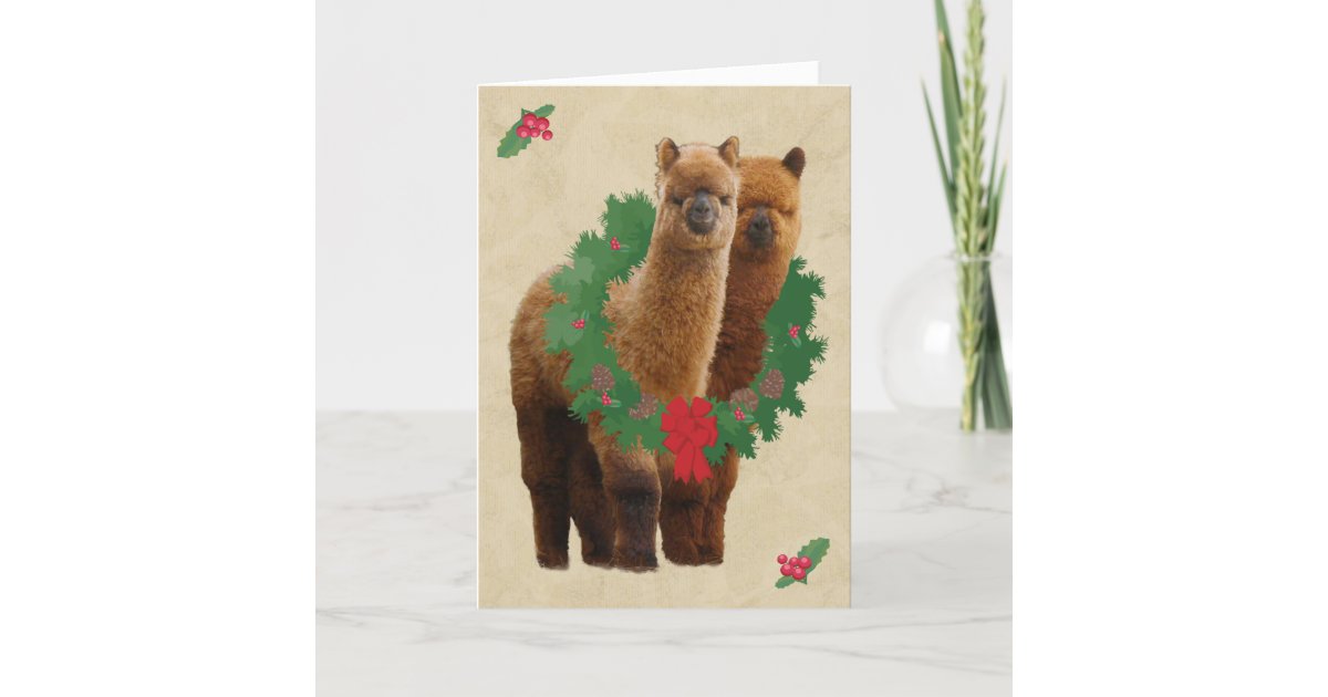 Alpaca Christmas Cards | Zazzle