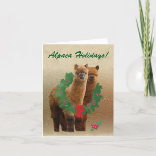 Alpaca Christmas Cards