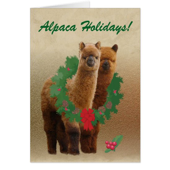 Alpaca Christmas Cards