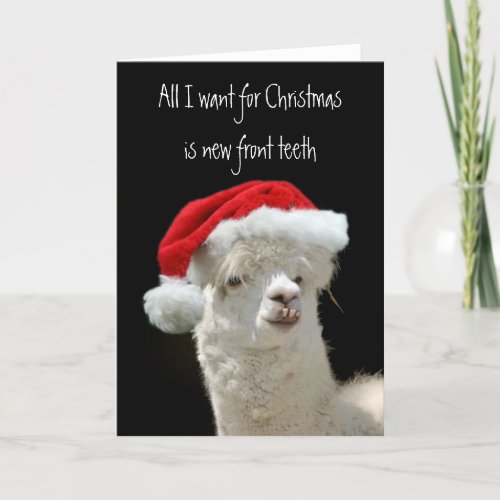 Alpaca Christmas Holiday Card