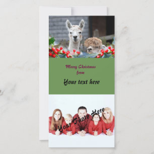 Alpaca Christmas Holiday Card