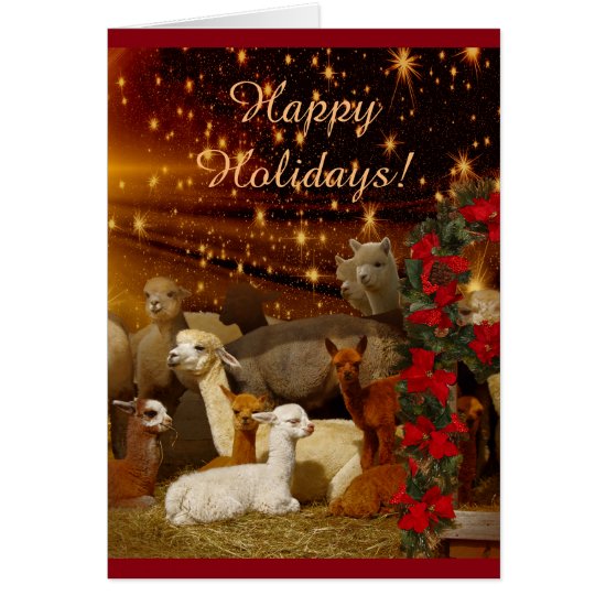 Alpaca Christmas Holiday Cards