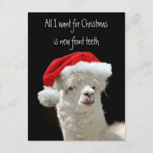 Alpaca Christmas Holiday Postcard