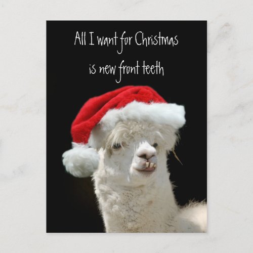 Alpaca Christmas Holiday Postcard