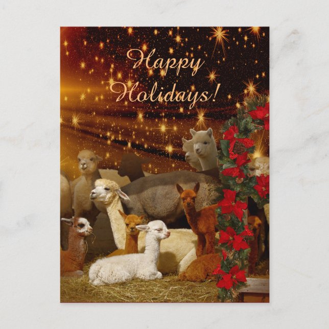 Alpaca Christmas Postcards (Front)