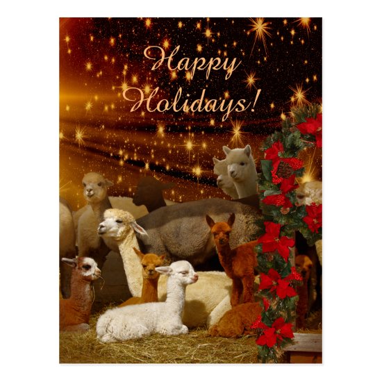 Alpaca Christmas Postcards