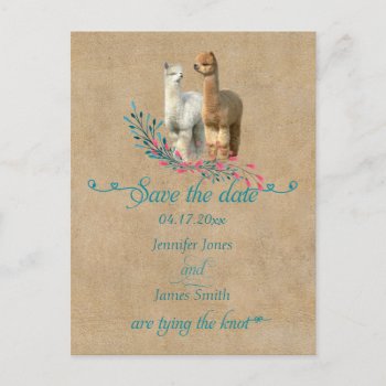 Alpaca Country Save The Date Postcards by Walnut_Creek at Zazzle