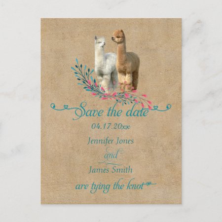 Alpaca Country Save The Date Postcards