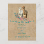 Alpaca Country Save The Date Postcards at Zazzle