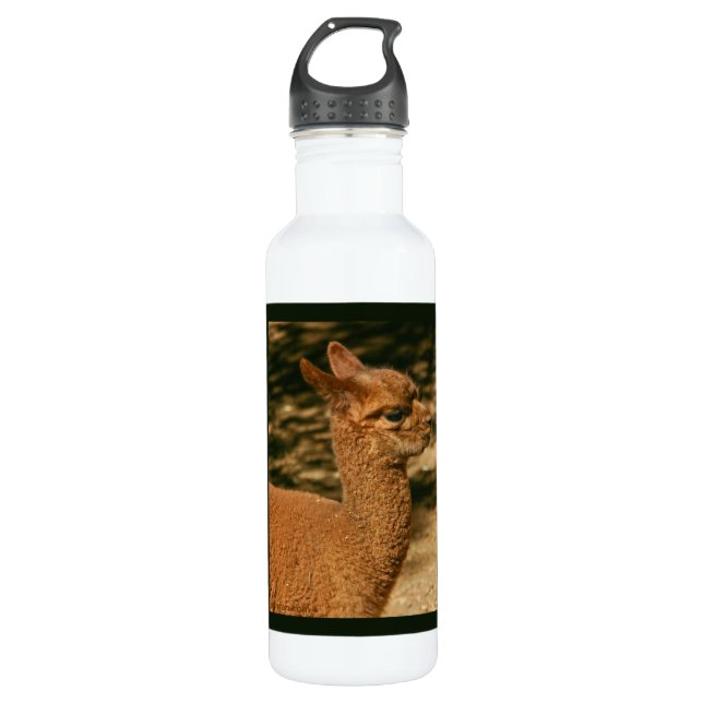 Alpaca Cria - "Papa's Surprise" Water Bottle (Front)