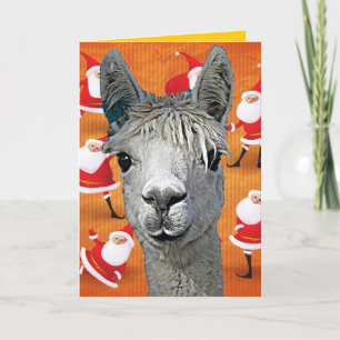 Alpaca Custom YouBeaut Designs Christmas Holiday Card