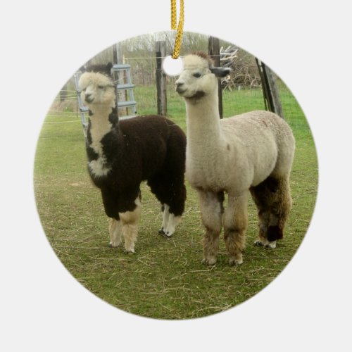 Alpaca Duo Ceramic Ornament