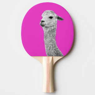 Alpaca farm animal photography black and white Ping-Pong paddle