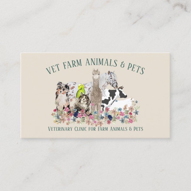 Pet Branding