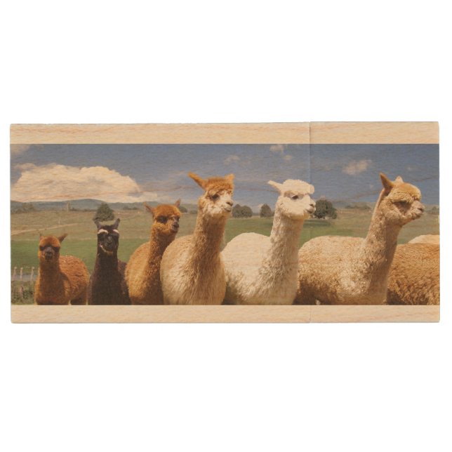 Alpaca Flash Drive (Front)