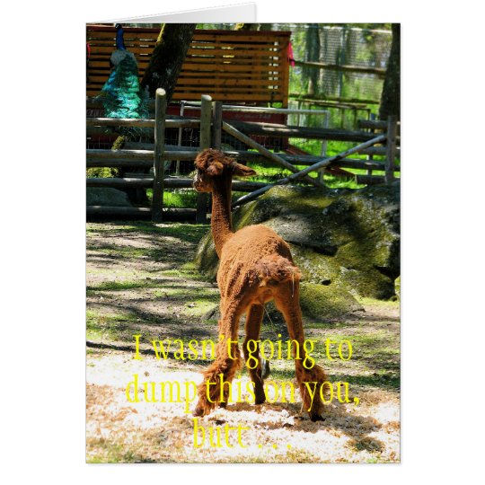 Alpaca fun card