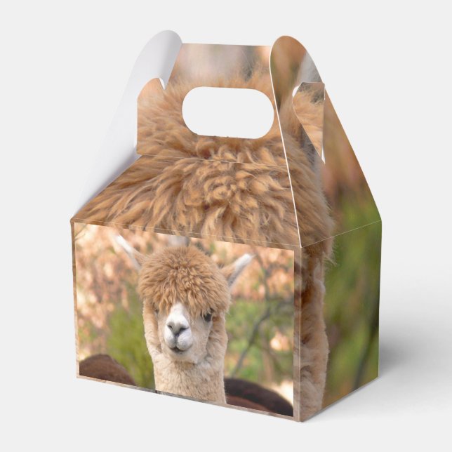 Alpaca Gift Box (Front Side)