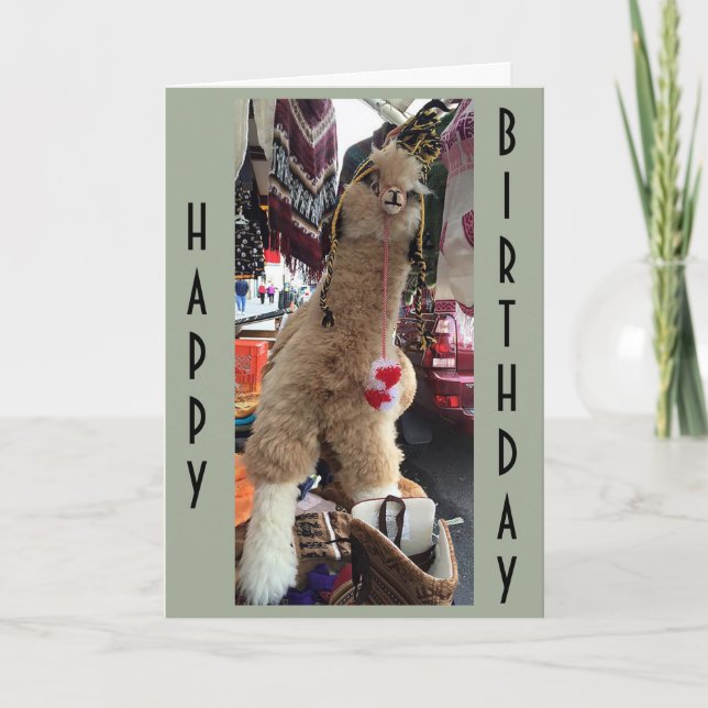 ALPACA GIVE "BIRTHDAY ADVICE" ON HOW TO ENJOY DAY CARD (Front)