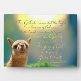Alpaca Gold Teal Bible Quote Easel Plaque