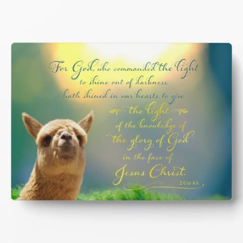 Alpaca Gold Teal Bible Quote Easel Plaque by Walnut_Creek at Zazzle