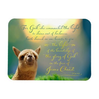 Alpaca Gold Teal Bible Verse Photo Magnet by Walnut_Creek at Zazzle