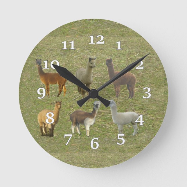 Alpaca Group Wall Clock (Front)