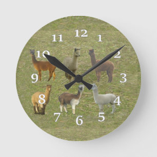 Alpaca Group Wall Clock