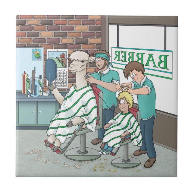 Alpaca haircut  ceramic tile (Front)