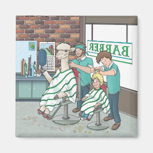 Alpaca haircut magnet