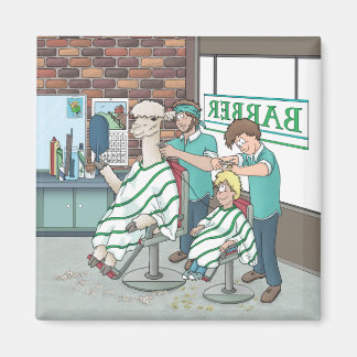 Alpaca haircut magnet