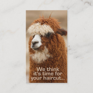 Alpaca hairstylist appointment cards