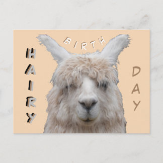 Alpaca Hairy Birthday Postcard