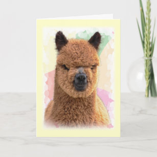 Alpaca Birthday Cards | Zazzle