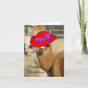 Alpaca Happy Birthday Cards