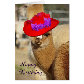 Alpaca Birthday Cards | Zazzle