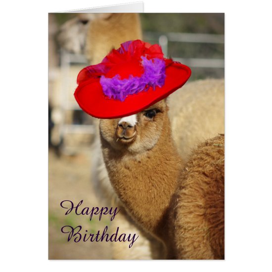 Alpaca Happy Birthday Cards