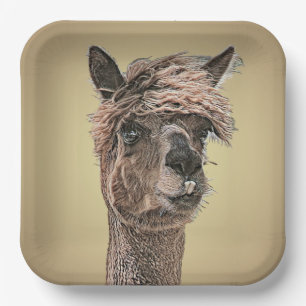 Alpaca Hello - Paper Plate