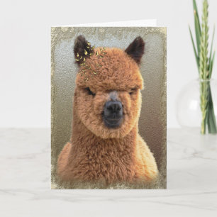 Alpaca Holiday Card