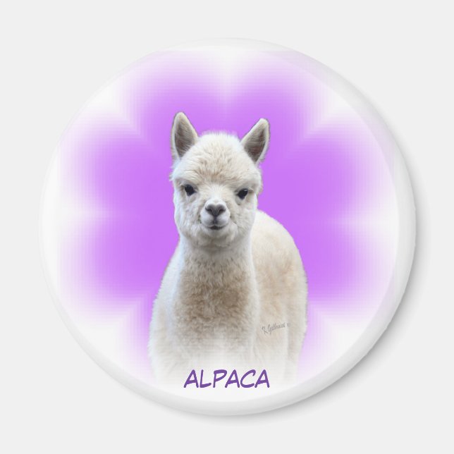 Alpaca Hope Magnet (Front)