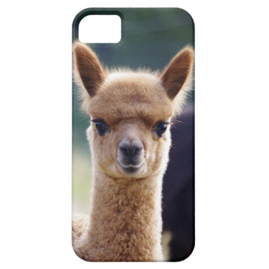 Alpaca iPhone 5 Cases