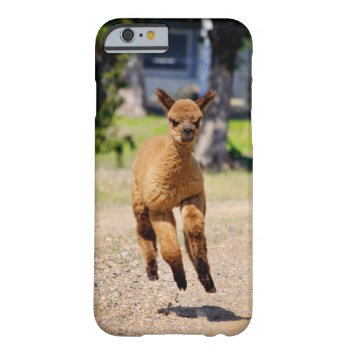 Alpaca Iphone 6 Case by WalnutCreekAlpacas at Zazzle