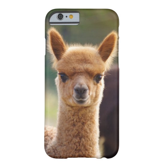 Alpaca iPhone 6 case