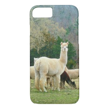 Alpaca Iphone 7 Case by WalnutCreekAlpacas at Zazzle